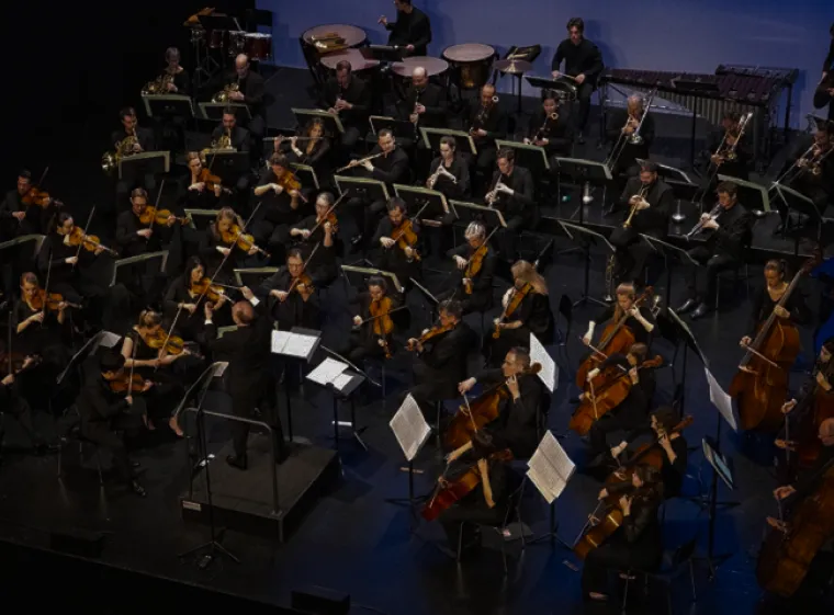 Swiss Festival Orchestra